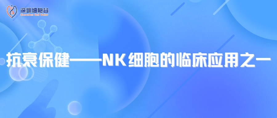 抗衰保健--NK細胞的臨床應(yīng)用之一