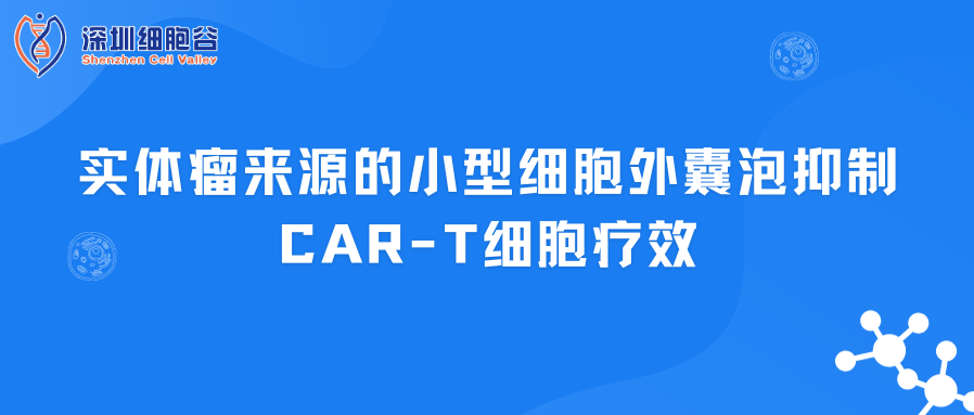 實體瘤來源的小型細胞外囊泡抑制CAR-T細胞療效