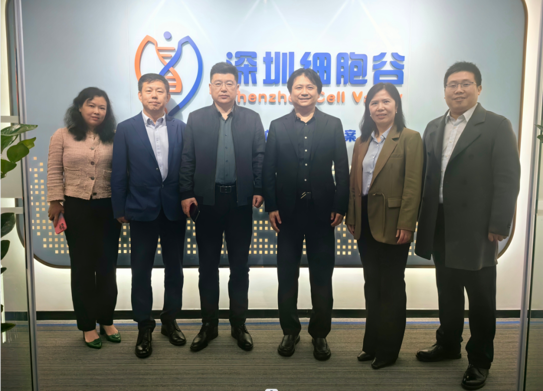 河南科技大學(xué)第二附屬醫(yī)院院長邢建武、副院長王慧睿一行蒞臨深圳細(xì)胞谷交流訪問