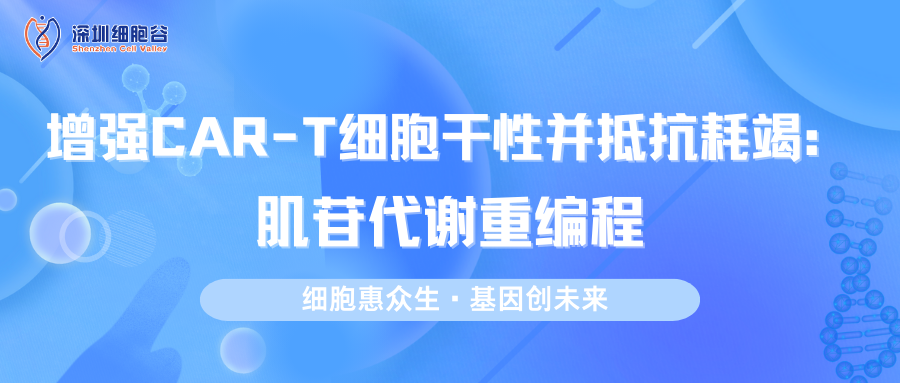 增強CAR-T細胞干性并抵抗耗竭：肌苷代謝重編程