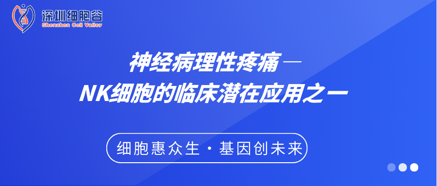 神經(jīng)病理性疼痛——NK細胞的臨床潛在應(yīng)用之一