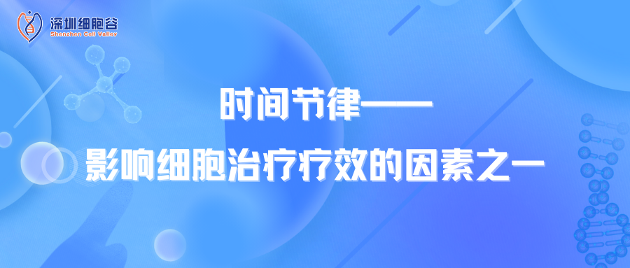 時間節(jié)律——影響細胞治療療效的因素之一