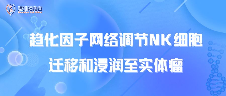 趨化因子網(wǎng)絡(luò)調(diào)節(jié)NK細胞遷移和浸潤至實體瘤