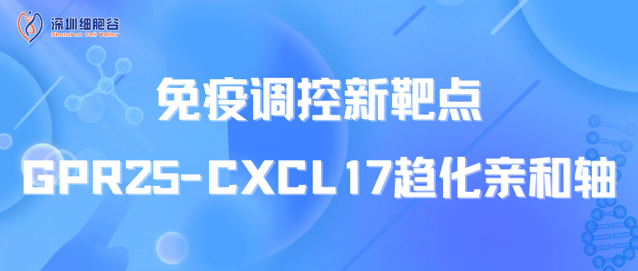 免疫調(diào)控新靶點：GPR25-CXCL17趨化親和軸